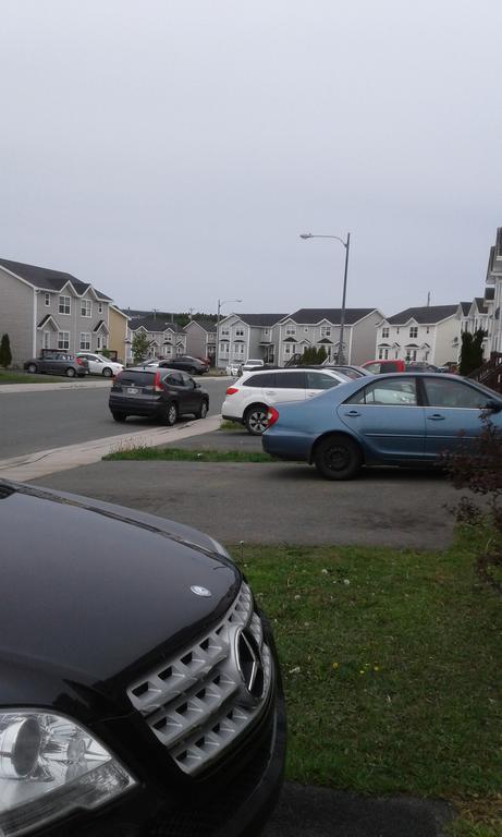 Cozy Pet Friendly Home St. John's Luaran gambar