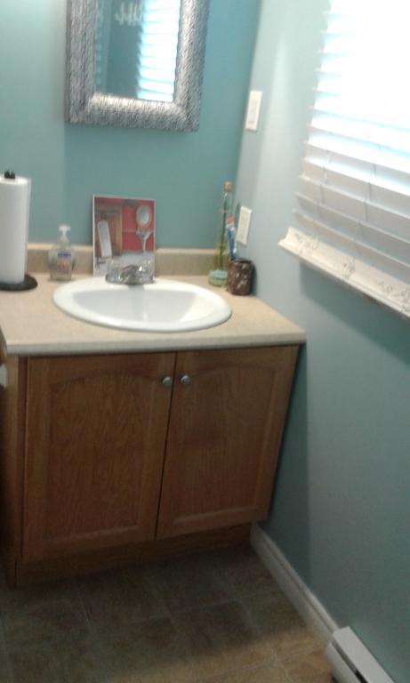 Cozy Pet Friendly Home St. John's Luaran gambar